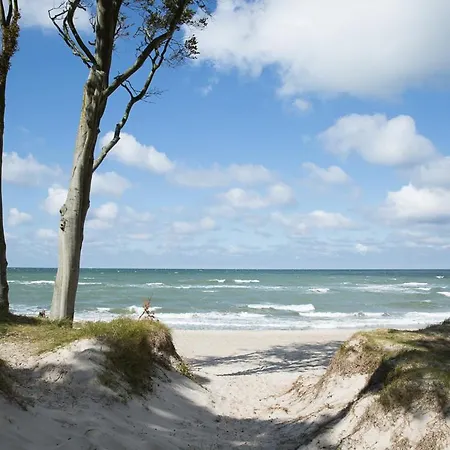 Seeschwalbe 60 Fuhlendorf (Mecklenburg-Vorpommern)