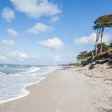 Ferienhaus Seeschwalbe 60