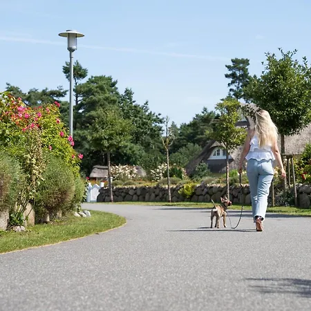 Seeschwalbe 60 Ferienhaus Fuhlendorf (Mecklenburg-Vorpommern)