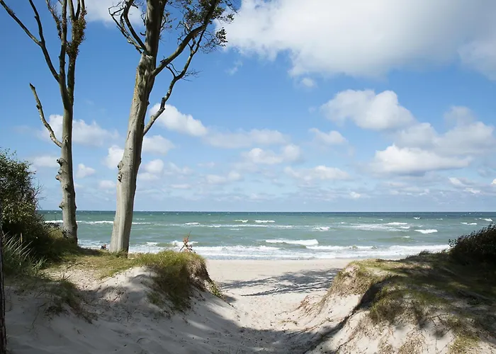 Seeschwalbe 60 * Fuhlendorf (Mecklenburg-Vorpommern)