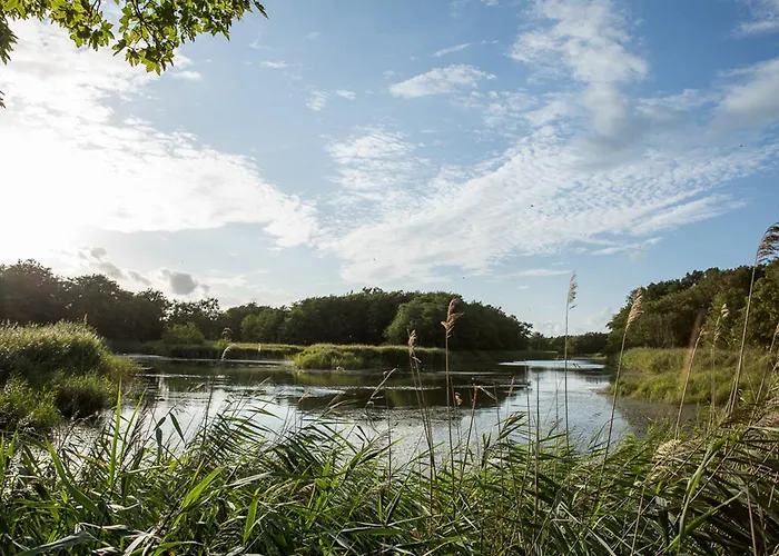 Seeschwalbe 60 Fuhlendorf (Mecklenburg-Vorpommern)